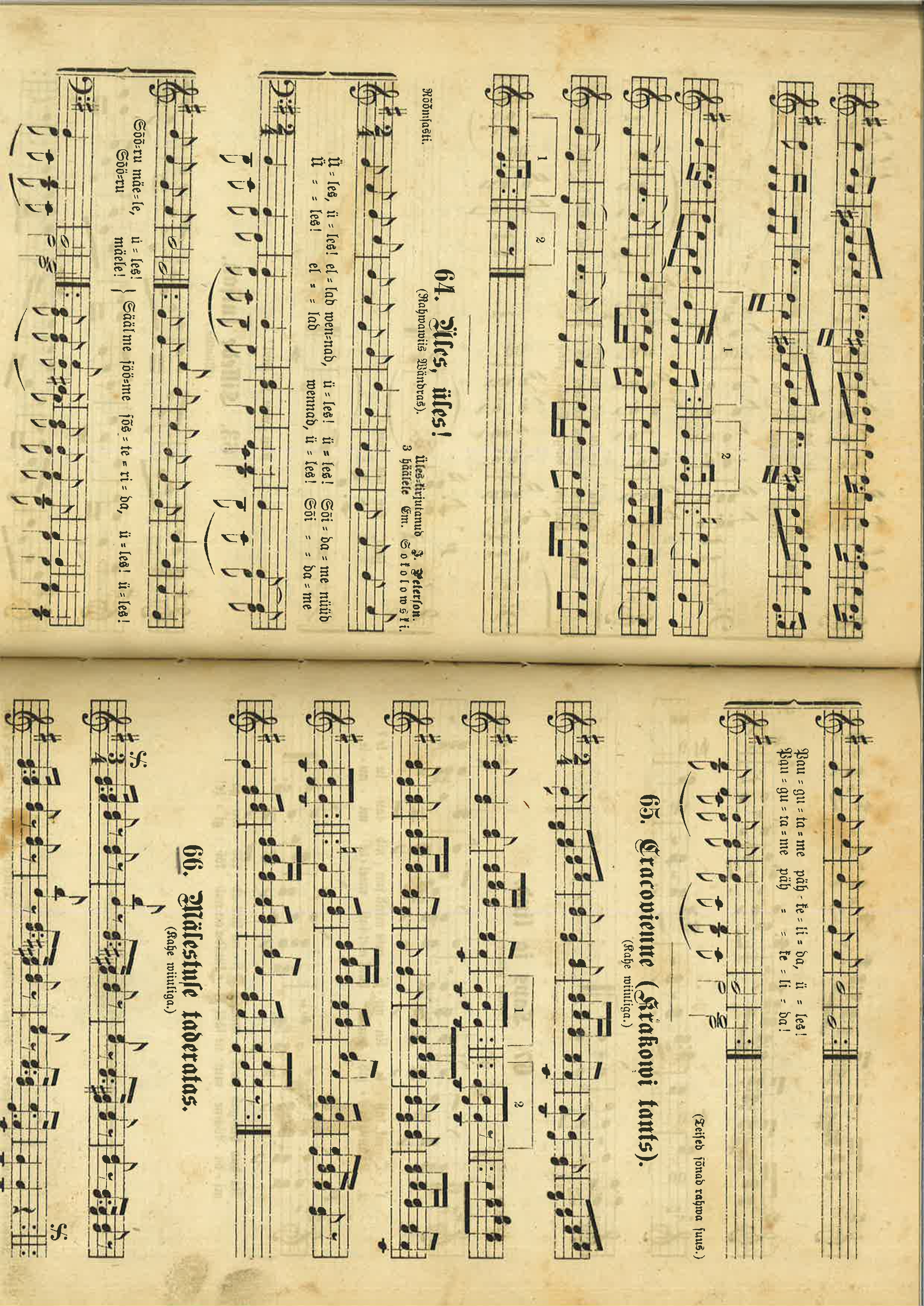Lemba_Yles_Hermann