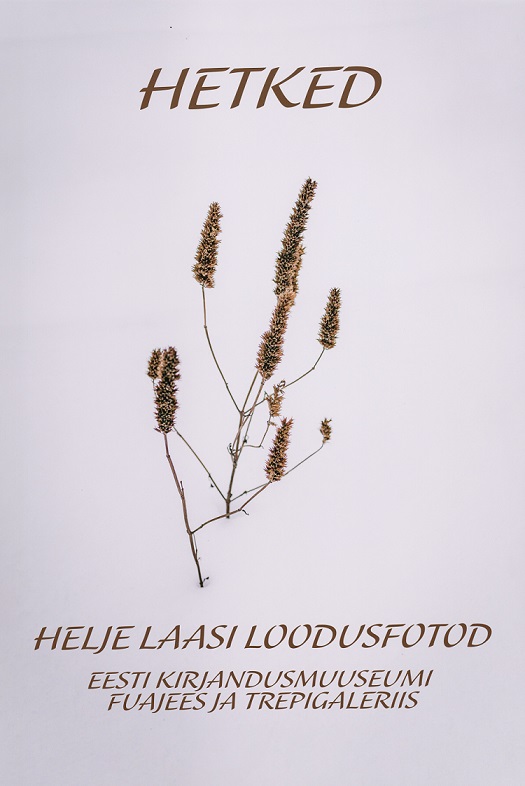 Helle Laasi loodusfotode näitus "Hetked"