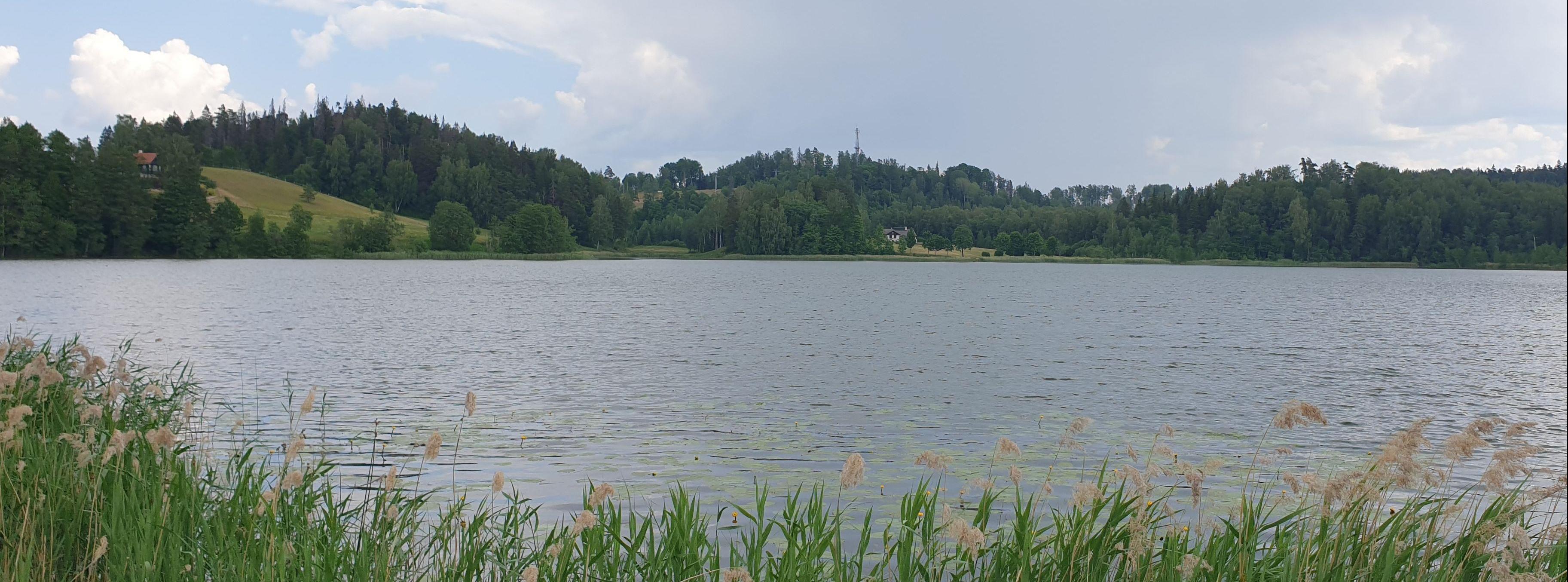 Nüpli järv:  pildi alumises veerandis kõrkjad, alt teises veerandis õrna lainetusega ja vesikuppudega kaetud järv,  kolmandas veerandis metsaga kaetud künkad, pildis ülemises osas suure koheva pilvega kaetud taevas.