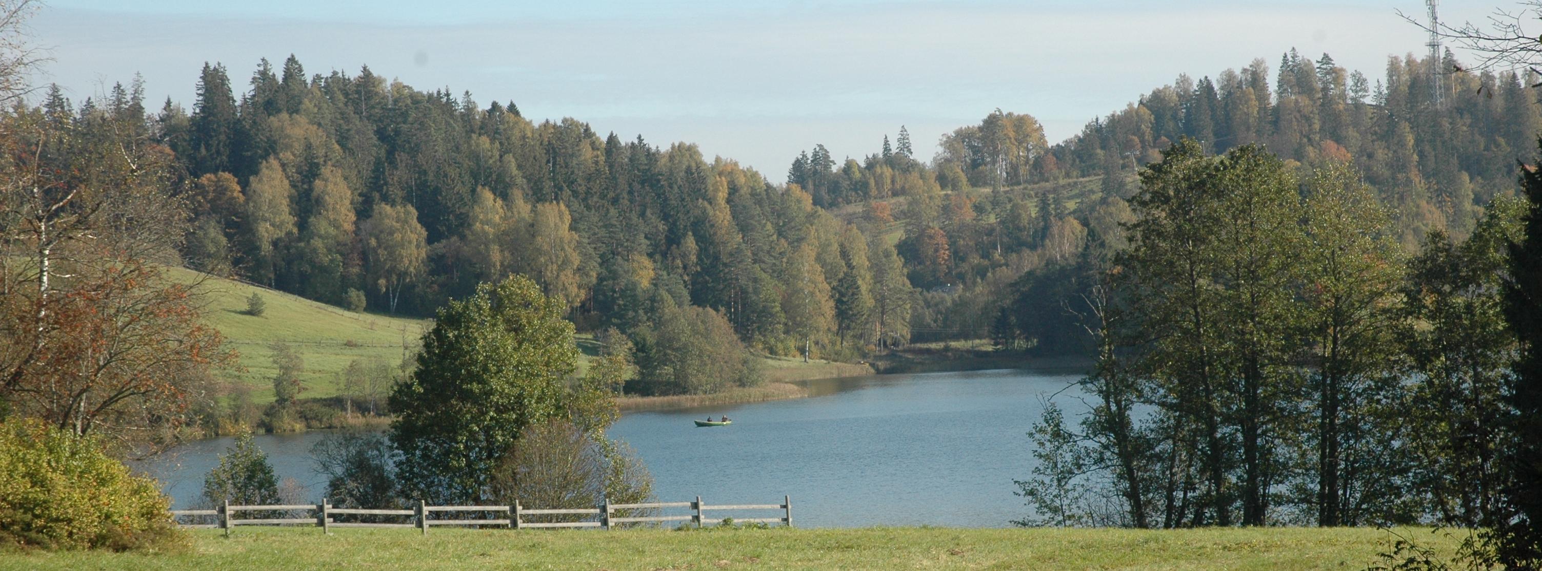 Nüpli järv