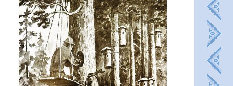 ajakirja esikaane fragment