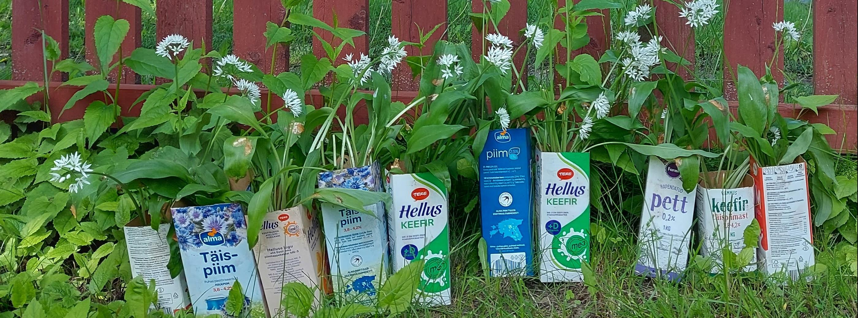 Karulaugud taaskasutuse leidnud tertapakkides